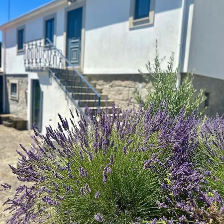 Casa Da Ribeira - Arouca