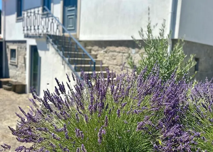 Casa Da Ribeira - Arouca